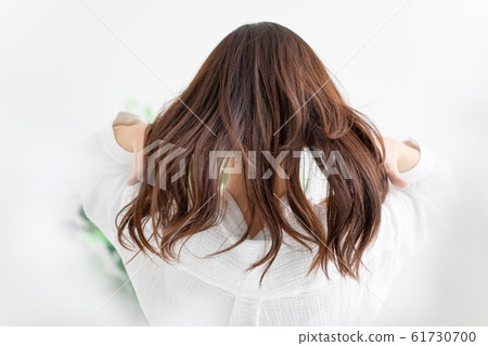 頭髮護理的形象 頭髮護理的形象 61730700