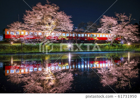 Kominato Railway Ienki Station Cherry Blossom Season 61731950