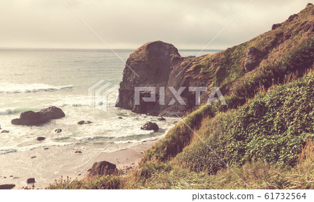 Oregon coast 61732564