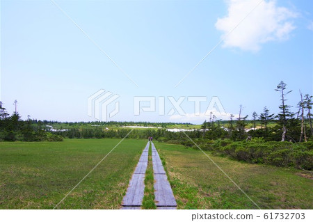 岩手縣八man平初夏6月 岩手縣八man平初夏6月 61732703