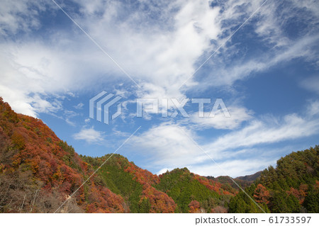 Mountain and sky colored with autumn leaves Mountain and sky colored with autumn leaves 61733597