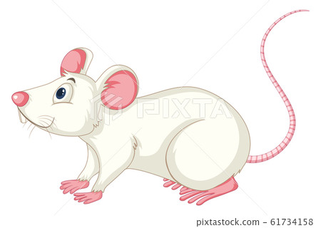 White rat on white background - Stock Illustration [61734158] - PIXTA