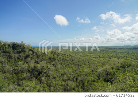 Isabella landscape 61734552