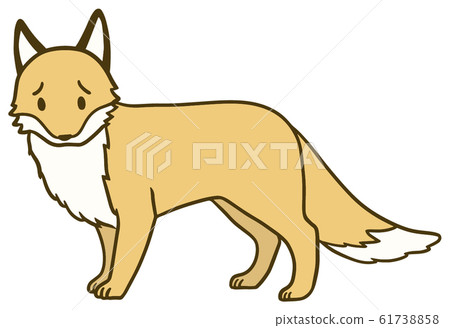 Illustration of a simple fox_11 - Stock Illustration [61738858] - PIXTA