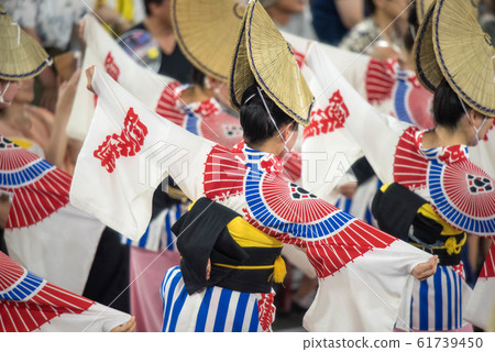 阿波舞熱夜 阿波舞熱夜 61739450