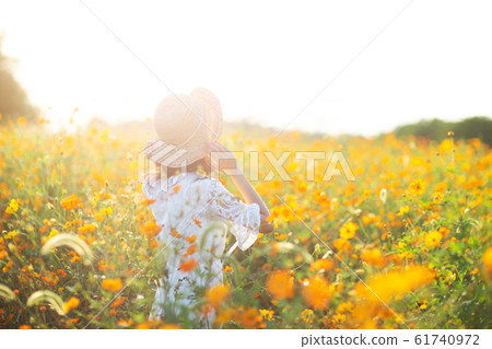 Yellow flower field Yellow flower field 61740972