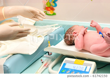A nurse weighs on the scales of a newborn baby 61742150