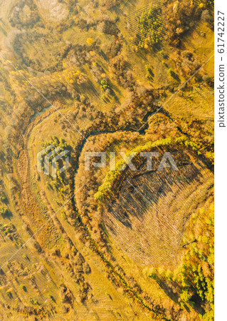 Aerial View Green Forest In Deforestation Area Landscape. Top View Of Shadows From Woods Trunks. Growing Forest. European Nature From High Attitude In Autumn Season. Drone View. Bird's Eye View Aerial View Green Forest In Deforestation Area Landscape. Top View Of Shadows From Woods Trunks. Growing Forest. European Nature From High Attitude In Autumn Season. Drone View. Bird's Eye View 61742227
