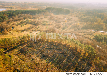 Aerial View Green Forest In Deforestation Area Landscape. Top View Of Shadows From Woods Trunks. Growing Forest. European Nature From High Attitude In Autumn Season. Drone View. Bird's Eye View Aerial View Green Forest In Deforestation Area Landscape. Top View Of Shadows From Woods Trunks. Growing Forest. European Nature From High Attitude In Autumn Season. Drone View. Bird's Eye View 61742228