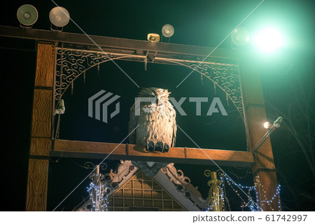 Lake Akan sightseeing in winter Lake Akan sightseeing in winter 61742997