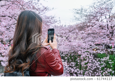 Woman take a photo at Cherry blossom along the Meguro river in Tokyo, Japan. Woman take a photo at Cherry blossom along the Meguro river in Tokyo, Japan. 61744117