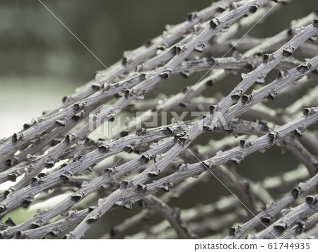 Natural fence made of wicker branches. Natural fence made of wicker branches. 61744935