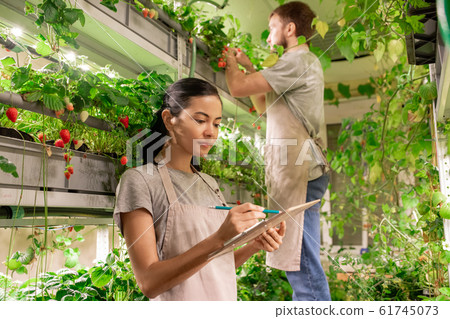 Young serious female selectionist or gardener pointing at document with notes Young serious female selectionist or gardener pointing at document with notes 61745073