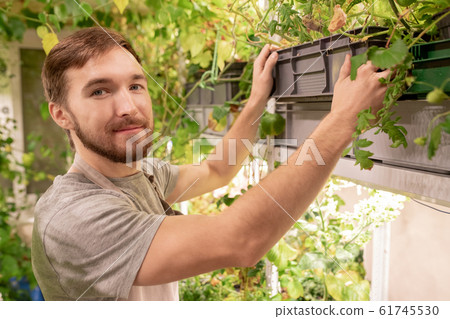 Young gardener in workwear looking at you while taking box with green plants Young gardener in workwear looking at you while taking box with green plants 61745530