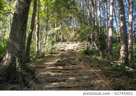 上山到登峰 上山到登峰 61745601