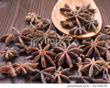 Star anise in the wooden spoon 61746036