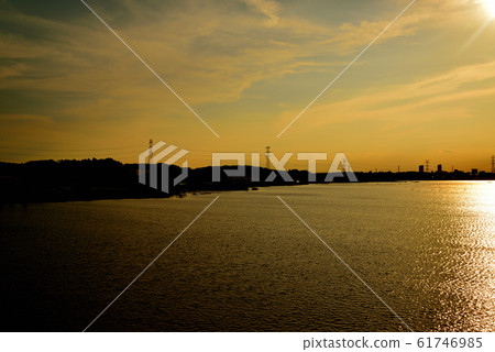 千葉縣德沼沼的夜景 61746985