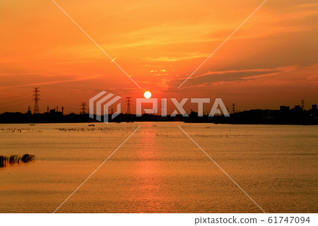千葉縣德沼沼的夜景 61747094