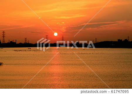 千葉縣德沼沼的夜景 千葉縣德沼沼的夜景 61747095