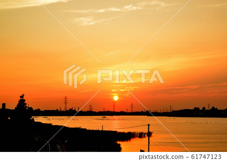 千葉縣德沼沼的夜景 61747123
