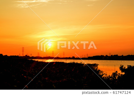 千葉縣德沼沼的夜景 千葉縣德沼沼的夜景 61747124