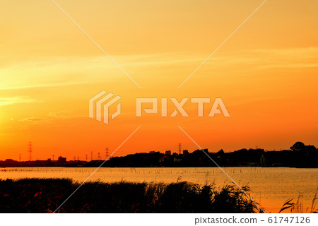 Evening view of Teganuma, Chiba Prefecture 61747126