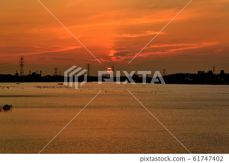 千葉縣德沼沼的夜景 千葉縣德沼沼的夜景 61747402