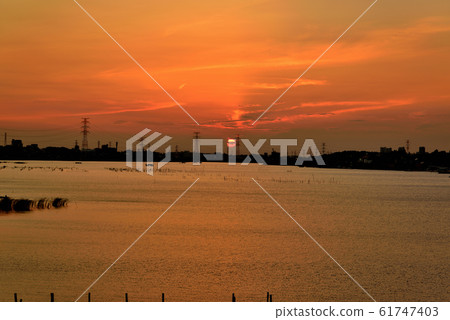 千葉縣德沼沼的夜景 61747403
