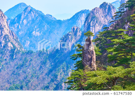 中國黃山夢刷花 61747580