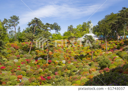鹽船觀音寺 鹽船觀音寺 61748037