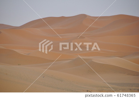 撒哈拉沙漠黃昏 61748365