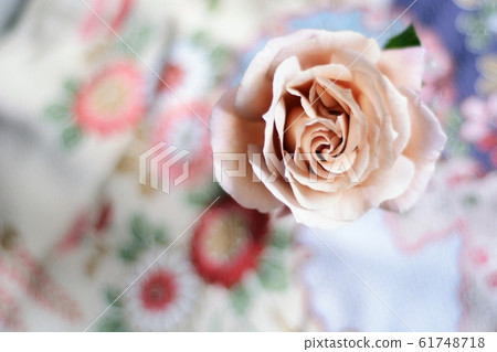 Barra Julia 61748718