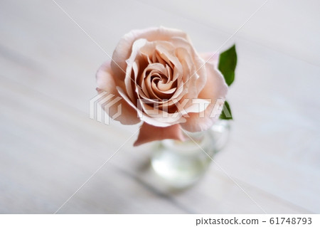 Barra Julia Barra Julia 61748793