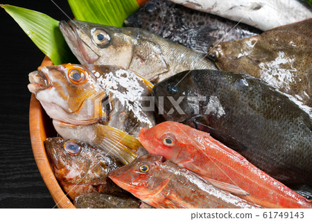 Assorted fresh fish 61749143