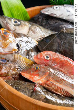 Assorted fresh fish 61749144