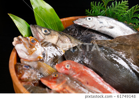 Assorted fresh fish 61749148