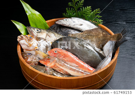 什錦鮮魚 61749153