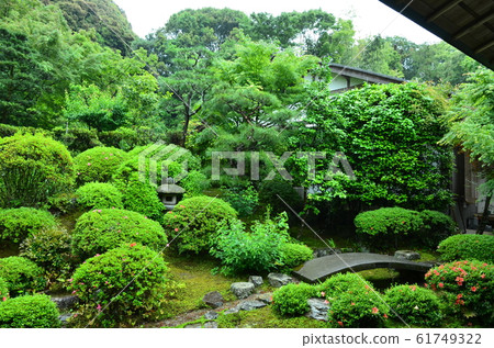 Anrakuji fresh green Anrakuji fresh green 61749322