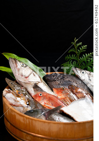 Assorted fresh fish 61749492