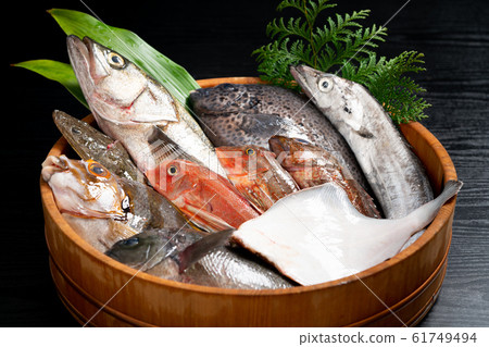 Assorted fresh fish Assorted fresh fish 61749494