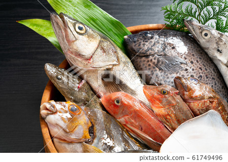 Assorted fresh fish Assorted fresh fish 61749496