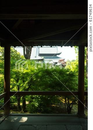 京都東福寺的藍楓 61749634