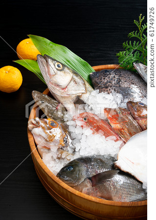 Assorted fresh fish Assorted fresh fish 61749726