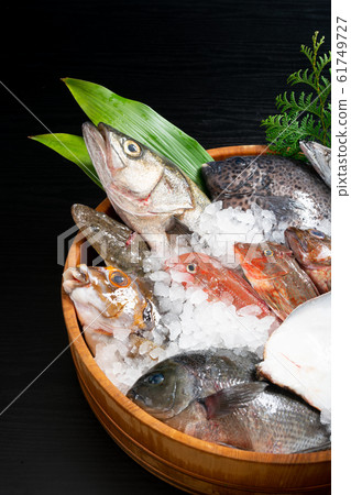 什錦鮮魚 什錦鮮魚 61749727