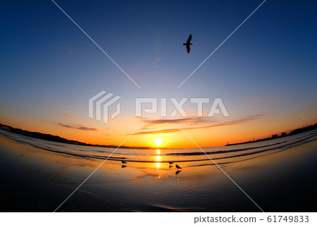 Shonan Enoshima, Katase Higashihama at sunrise with blue sky, sea and sea cats 61749833