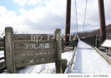 Tochigi Prefecture, Nasu County, Azalea Suspension Bridge, Azalea Suspension Bridge Garden Tochigi Prefecture, Nasu County, Azalea Suspension Bridge, Azalea Suspension Bridge Garden 61749846