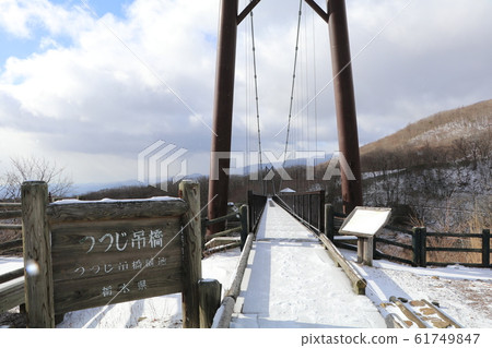Tochigi Prefecture, Nasu County, Azalea Suspension Bridge, Azalea Suspension Bridge Garden 61749847