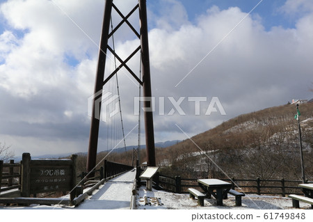 Tochigi Prefecture, Nasu County, Azalea Suspension Bridge, Azalea Suspension Bridge Garden 61749848