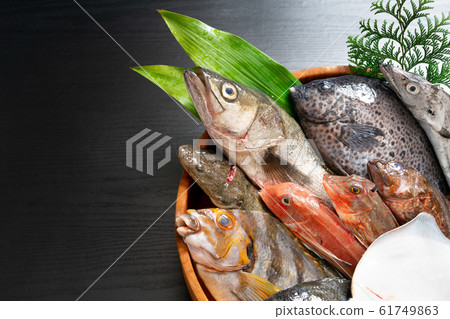Assorted fresh fish Assorted fresh fish 61749863