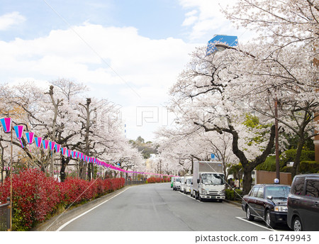 Harima Sakura Noriki Harima Sakura Noriki 61749943